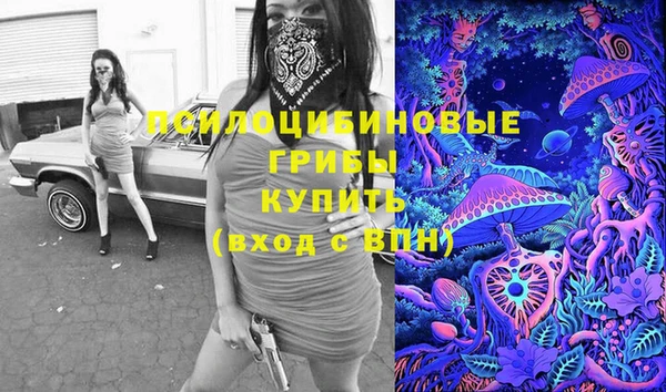 прущий лед Абаза