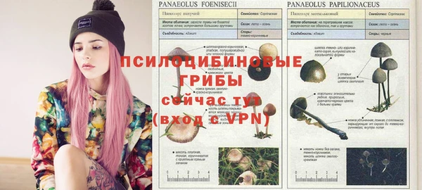 стафф Абинск