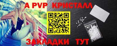 гашик Шадринск