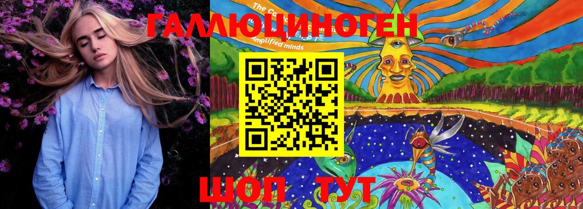 Котовск  Псилоцибиновые грибы MAGIC MUSHROOMS  Вход с VPN  Галлюциногенные грибы мицелий 