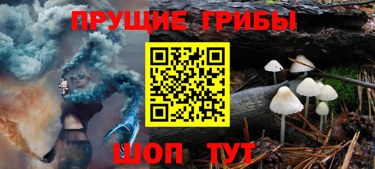 Галлюциногенные грибы мицелий Котовск